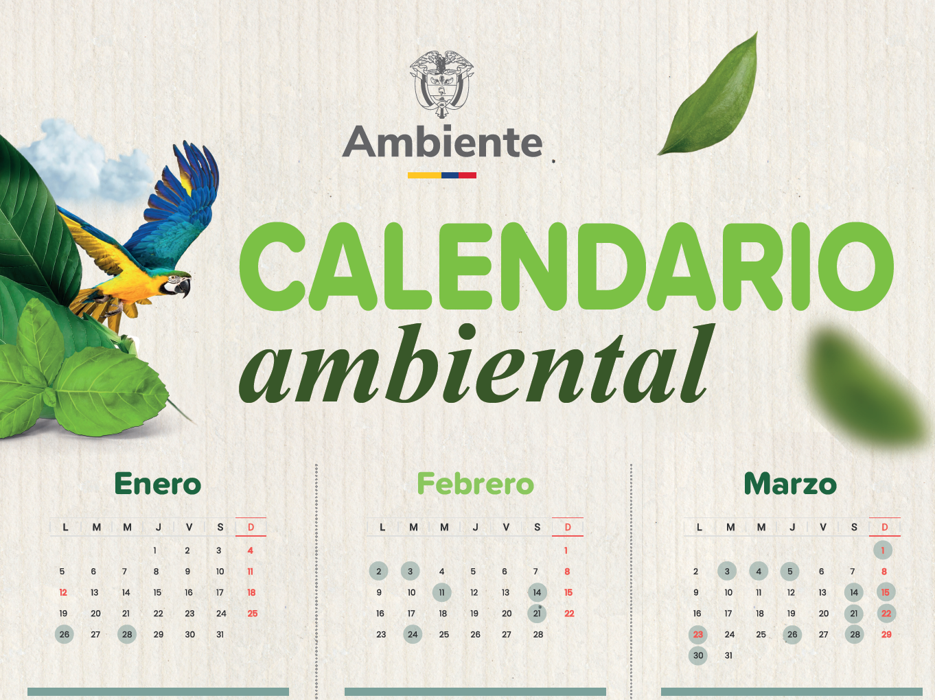 Imagen del módulo 2